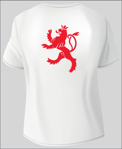 T-shirt with lion 2